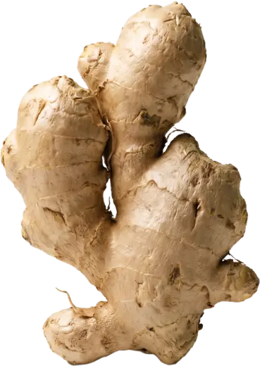 Ginger, a whole root