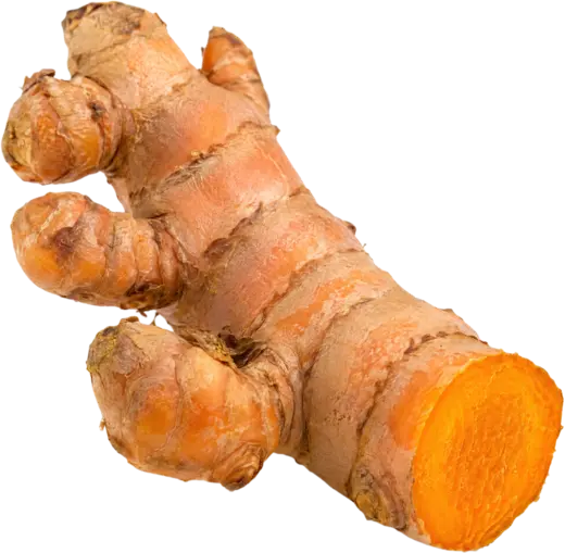 Turmeric, a root with one end cut to show the orange inside