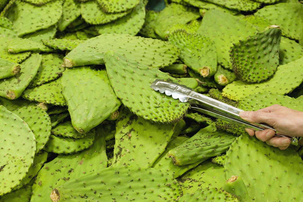 Nopal: The Prebiotic Fiber Most Greens Powders Skip