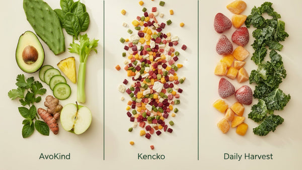 AvoKind vs. Kencko vs. Daily Harvest: A No-Spin Ingredient and Sugar Comparison