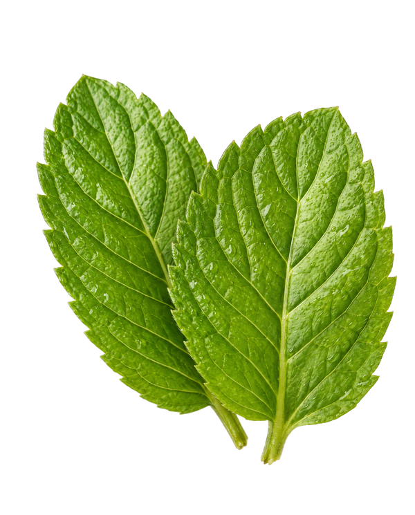Mint