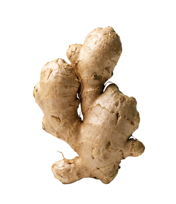 Ginger