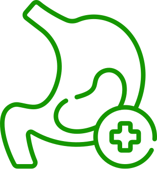 Healthy Digestion