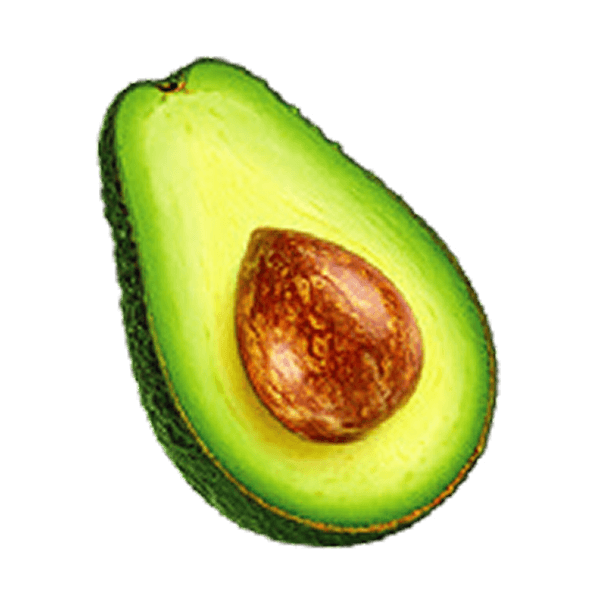 Avocado