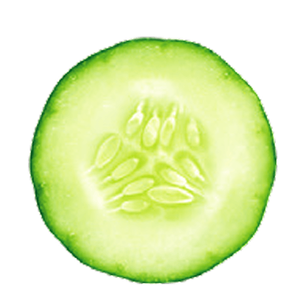 Cucumber