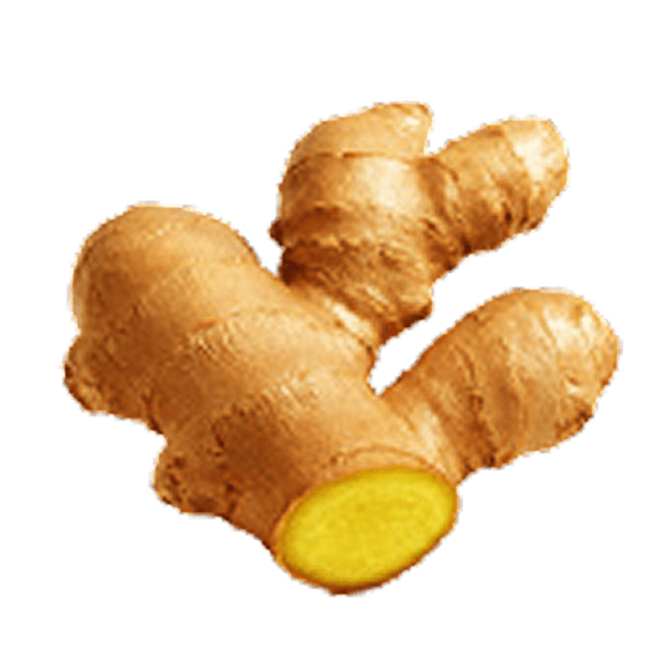 Ginger