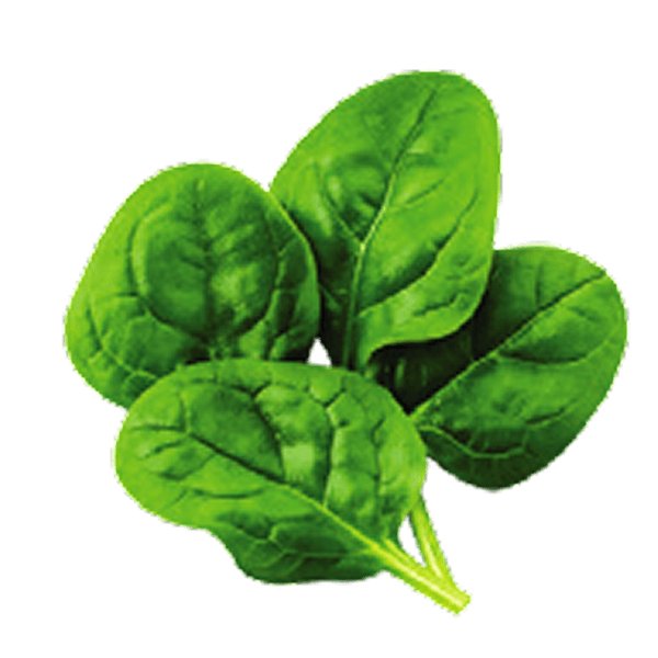 Spinach